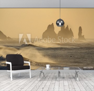 Picture of Islanda spiaggia nera di Vik